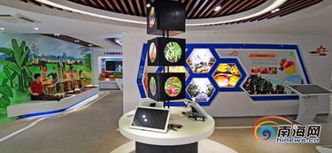 昌江互聯(lián)網(wǎng)農(nóng)業(yè)小鎮(zhèn) 借電商快車，力促農(nóng)產(chǎn)品銷售